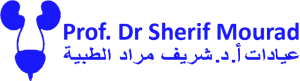 Dr Sherif Mourad